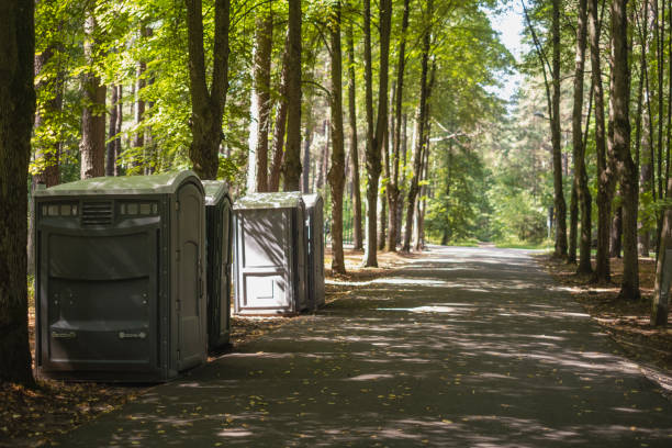 Best Sanitation services for porta potties  in Hamlet, IN